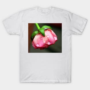 A pink bud in rain. T-Shirt